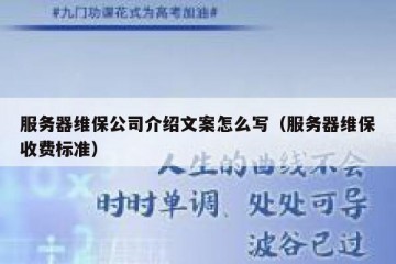 服务器维保公司介绍文案怎么写（服务器维保收费标准）