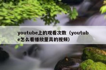 youtube上的观看次数（youtube怎么看播放量高的视频）