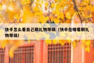 快手怎么看自己刷礼物等级（快手在哪看刷礼物等级）