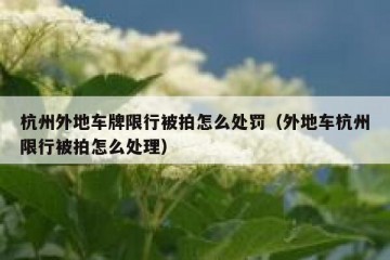 杭州外地车牌限行被拍怎么处罚（外地车杭州限行被拍怎么处理）