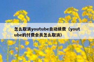 怎么取消youtube自动续费（youtube的付费会员怎么取消）