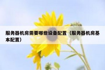 服务器机房需要哪些设备配置（服务器机房基本配置）