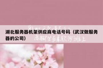 湖北服务器机架供应商电话号码（武汉做服务器的公司）