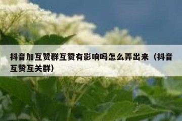 抖音加互赞群互赞有影响吗怎么弄出来（抖音互赞互关群）