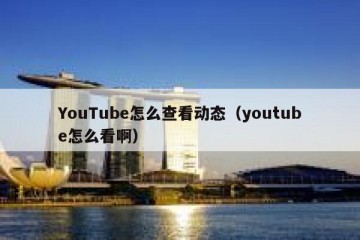 YouTube怎么查看动态（youtube怎么看啊）