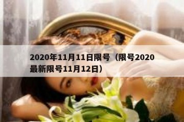 2020年11月11日限号（限号2020最新限号11月12日）