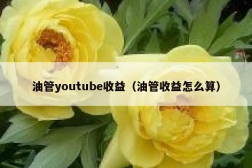 油管youtube收益（油管收益怎么算）