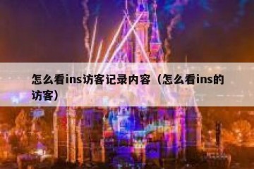 怎么看ins访客记录内容（怎么看ins的访客）