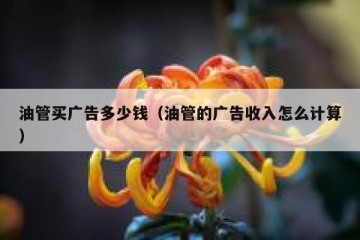 油管买广告多少钱（油管的广告收入怎么计算）