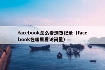facebook怎么看浏览记录（facebook在哪里看访问量）