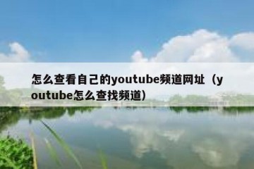 怎么查看自己的youtube频道网址（youtube怎么查找频道）