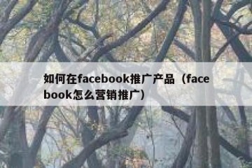 如何在facebook推广产品（facebook怎么营销推广）