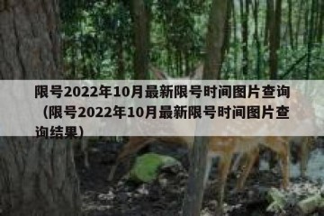 限号2022年10月最新限号时间图片查询（限号2022年10月最新限号时间图片查询结果）