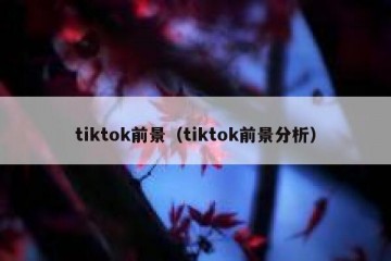 tiktok前景（tiktok前景分析）