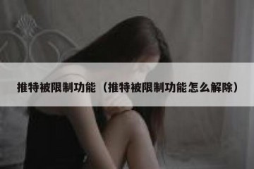 推特被限制功能（推特被限制功能怎么解除）