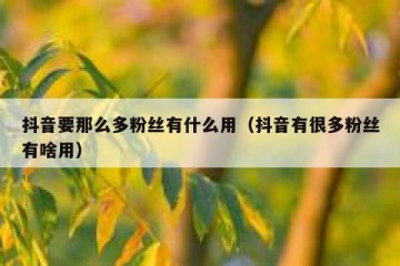 抖音要那么多粉丝有什么用（抖音有很多粉丝有啥用）