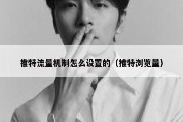 推特流量机制怎么设置的（推特浏览量）