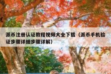 派币注册认证教程视频大全下载（派币手机验证步骤详细步骤详解）