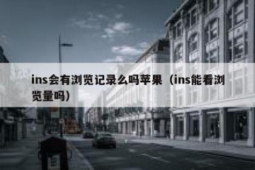 ins会有浏览记录么吗苹果（ins能看浏览量吗）