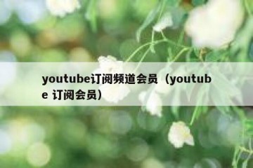youtube订阅频道会员（youtube 订阅会员）