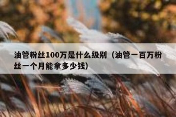油管粉丝100万是什么级别（油管一百万粉丝一个月能拿多少钱）