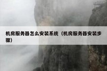 机房服务器怎么安装系统（机房服务器安装步骤）