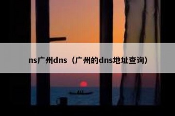 ns广州dns（广州的dns地址查询）