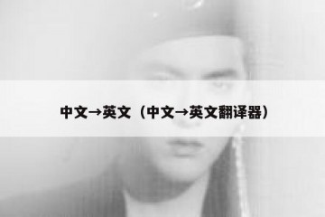 中文→英文（中文→英文翻译器）