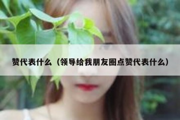 赞代表什么（领导给我朋友圈点赞代表什么）