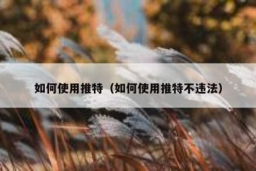 如何使用推特（如何使用推特不违法）