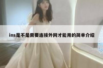 ins是不是需要连接外网才能用的简单介绍