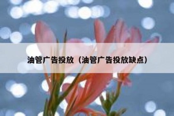 油管广告投放（油管广告投放缺点）