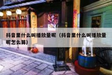 抖音里什么叫播放量呢（抖音里什么叫播放量呢怎么算）