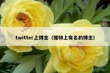 twitter上博主（推特上有名的博主）