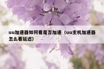 uu加速器如何看是否加速（uu主机加速器怎么看延迟）