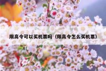 限高令可以买机票吗（限高令怎么买机票）