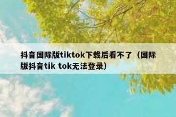 抖音国际版tiktok下载后看不了（国际版抖音tik tok无法登录）