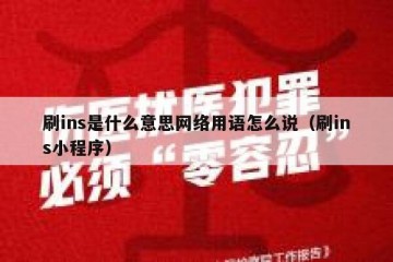 刷ins是什么意思网络用语怎么说（刷ins小程序）