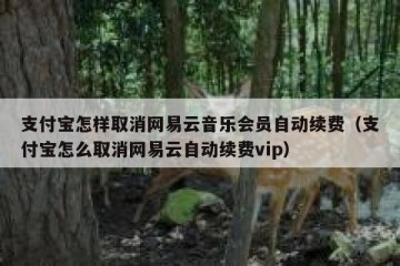 支付宝怎样取消网易云音乐会员自动续费（支付宝怎么取消网易云自动续费vip）