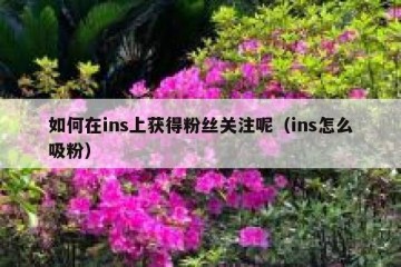 如何在ins上获得粉丝关注呢（ins怎么吸粉）