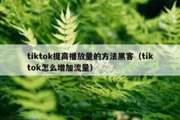 tiktok提高播放量的方法黑客（tiktok怎么增加流量）