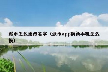 派币怎么更改名字（派币app换新手机怎么换）