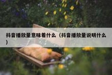 抖音播放量意味着什么（抖音播放量说明什么）