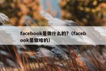 facebook是做什么的?（facebook是做啥的）