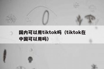 国内可以用tiktok吗（tiktok在中国可以用吗）