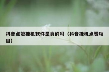 抖音点赞挂机软件是真的吗（抖音挂机点赞项目）