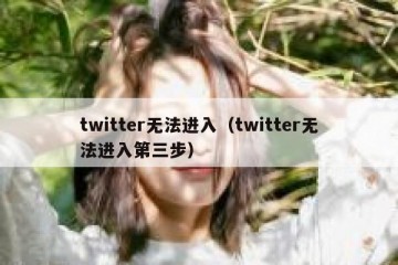 twitter无法进入（twitter无法进入第三步）