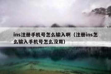 ins注册手机号怎么输入啊（注册ins怎么输入手机号怎么没用）