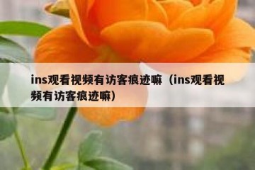 ins观看视频有访客痕迹嘛（ins观看视频有访客痕迹嘛）