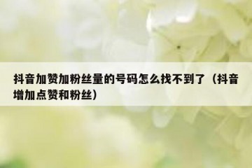 抖音加赞加粉丝量的号码怎么找不到了（抖音增加点赞和粉丝）